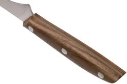 Due Cigni 1896, 2C1012NO Cuchillo Para Filetear 18 Cm, Madera De Nogal -Cuchillo De Cocina DG2C1012NO 04 due signi 1896