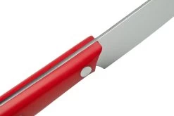 Due Cigni 1896 America 2C1019RSET4, Juego De Cuchillos Para Carne De 4 Piezas, Rojo -Cuchillo De Cocina DG2C1019RSET4 05 duecigni