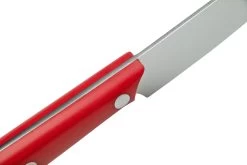 Due Cigni 1896 America 2C1019RSET6, Juego De Cuchillos Para Carne De 6 Piezas, Rojo -Cuchillo De Cocina DG2C1019RSET6 06 duecigni