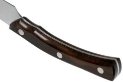 Due Cigni Arne Line Cuchillo Para Carne 11 Cm, Ziricote -Cuchillo De Cocina DG2C900ZW 04 due cigni arne