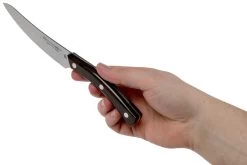 Due Cigni Arne Line Cuchillo Para Carne 11 Cm, Ziricote -Cuchillo De Cocina DG2C900ZW 06 due cigni arne