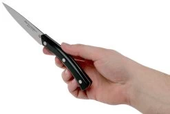 Due Cigni Arne Line Cuchillo Para Pelar 10 Cm, Negro -Cuchillo De Cocina DG2C901 06 due cigni arne