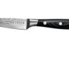 Eden Classic Damast Cuchillo Puntilla 9 Cm
