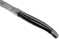 Forge De Laguiole, LAT22MINEB, Juego De Cuchillos Para Carne De 2 Piezas Mate, Madera De ébano -Cuchillo De Cocina LAT22MINEB 05 forge de laguiole