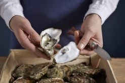 Opinel Cuchillo De Ostras N°09 -Cuchillo De Cocina OP001616 07 opinel oestermes op001616 08