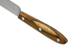 Otter Tafel Cuchillo De Mesa De Acero Inoxidable Pistacho 12,5 Cm -Cuchillo De Cocina ORTAFELPIS 04 otter