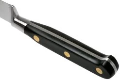 Lion Sabatier Idéal Cuchillo Puntilla 10 Cm, 711080 -Cuchillo De Cocina SA1372 04 04 lion sabatier v202006