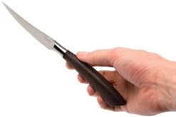 Saladini 6-delige Juego De Cuchillos Para Carne 23 Cm, Wengé -Cuchillo De Cocina SL4001PW6 07 saladini sl4001pw6 07