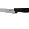 Victorinox Fibrox Cuchillo Puntilla 12 Cm 5.2003.12