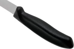 Victorinox SwissClassic 6.8713.20G Cuchillo Para Filetear 20 Cm, Negro -Cuchillo De Cocina VT6 8713 20G 04 victorinox